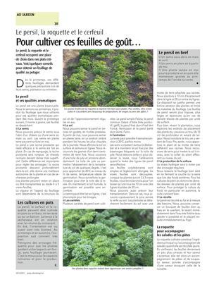 Pour cultiver ces feuilles de goût… Pour cultiver ces feuilles de goût…