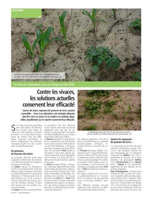 Contre les vivaces,les solutions actuelles conservent leur efficacité Contre les vivaces,les solutions actuelles conservent leur efficacité