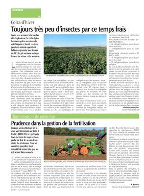 Toujours très peu d’insectes par ce temps frais Toujours très peu d’insectes par ce temps frais