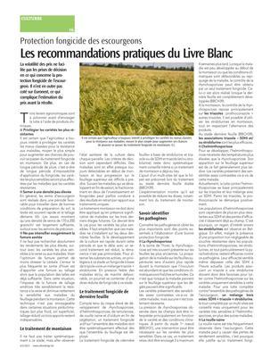 Les recommandations pratiques du Livre Blanc Les recommandations pratiques du Livre Blanc