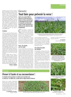 Penser à l’azote et au raccourcisseur! Penser à l’azote et au raccourcisseur!