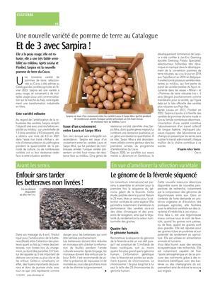 Le génome de la féverole séquencé Le génome de la féverole séquencé