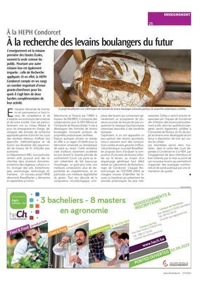 À la recherche des levains boulangers du futur À la recherche des levains boulangers du futur