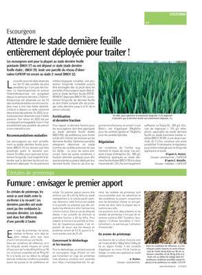 Attendre le stade dernière feuilleentièrement déployée pour traiter! Attendre le stade dernière feuilleentièrement déployée pour traiter!