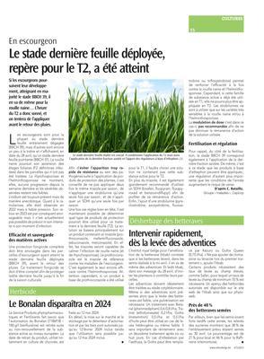 Intervenir rapidement,dès la levée des adventices Intervenir rapidement,dès la levée des adventices