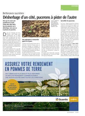 Désherbage d’un côté, pucerons à pister de l’autre Désherbage d’un côté, pucerons à pister de l’autre