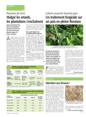 Malgré les retards, les plantations s’enchaînent Malgré les retards, les plantations s’enchaînent
