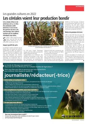 Les céréales voient leur production bondir