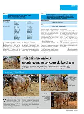 Trois animaux wallons se distinguent au concours du bœuf gras Trois animaux wallons se distinguent au concours du bœuf gras