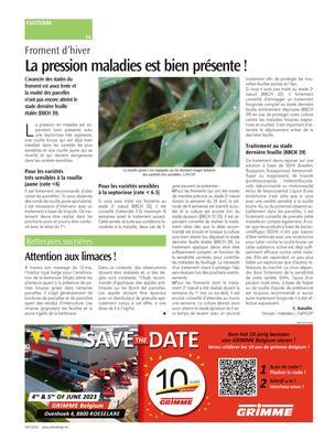 Attention aux limaces!