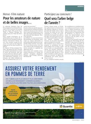 Quel sera l’arbre belge de l’année? Quel sera l’arbre belge de l’année?