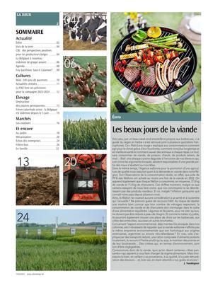 Actualité Actualité