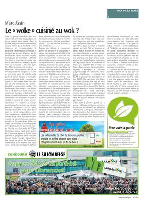 Le «woke» cuisiné au wok?