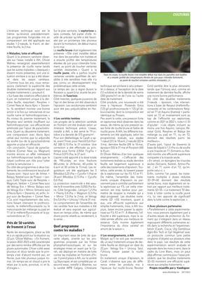 Les faits saillants de la saison, les variétés et la protection fongicide vus par le Carah Les faits saillants de la saison, les variétés et la protection fongicide vus par le Carah