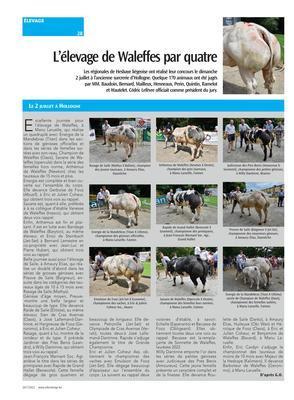 L’élevage de Waleffes par quatre L’élevage de Waleffes par quatre