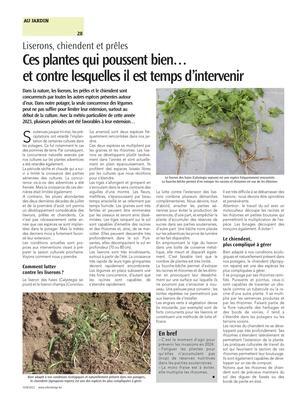 Ces plantes qui poussent bien…et contre lesquelles il est temps d’intervenir Ces plantes qui poussent bien…et contre lesquelles il est temps d’intervenir