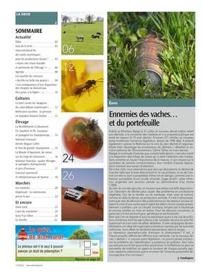Actualité Actualité