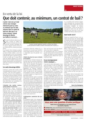 Que doit contenir, au minimum, un contrat de bail? Que doit contenir, au minimum, un contrat de bail?