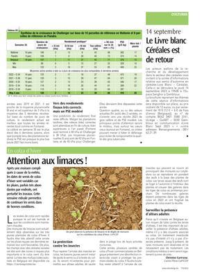 Attention aux limaces! Attention aux limaces!