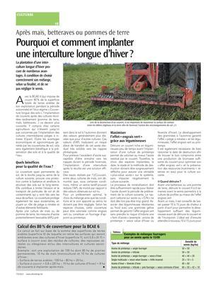 Pourquoi et comment implanter une interculture longue d’hiver? Pourquoi et comment implanter une interculture longue d’hiver?