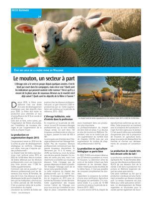 Le mouton, un secteur à part Le mouton, un secteur à part