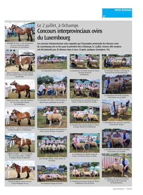 Concours interprovinciaux ovins du Luxembourg Concours interprovinciaux ovins du Luxembourg