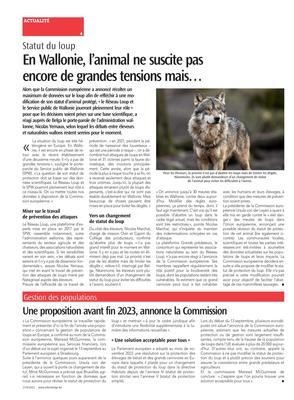 En Wallonie, l’animal ne suscite pas encore de grandes tensions mais… En Wallonie, l’animal ne suscite pas encore de grandes tensions mais…