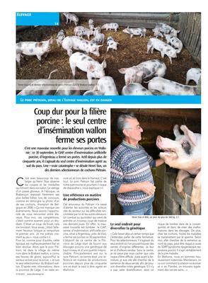 Coup dur pour la filièreporcine: le seul centre d’insémination wallonferme ses portes