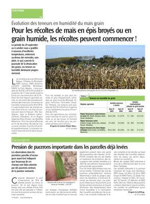 Pression de pucerons importante dans les parcelles déjà levées Pression de pucerons importante dans les parcelles déjà levées