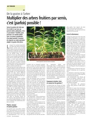 Multiplier des arbres fruitiers par semis, c’est (parfois) possible! Multiplier des arbres fruitiers par semis, c’est (parfois) possible!