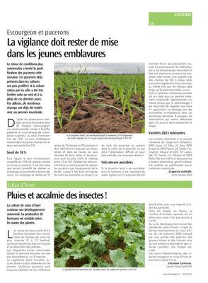 Pluies et accalmie des insectes! Pluies et accalmie des insectes!