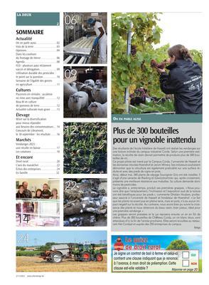 Plus de 300 bouteilles pour un vignoble inattendu Plus de 300 bouteilles pour un vignoble inattendu