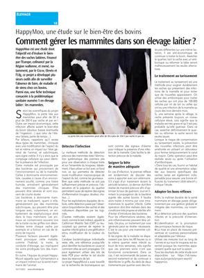 Comment gérer les mammites dans son élevage laitier? Comment gérer les mammites dans son élevage laitier?