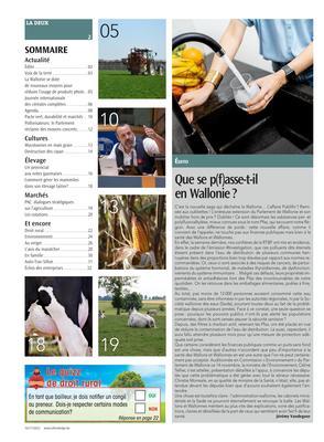 Actualité Actualité