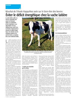Éviter le déficit énergétique chez la vache laitière Éviter le déficit énergétique chez la vache laitière