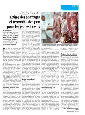 Baisse des abattageset remontée des prix pour les jeunes bovins