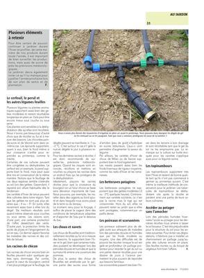 Plusieurs éléments à retenir Plusieurs éléments à retenir
