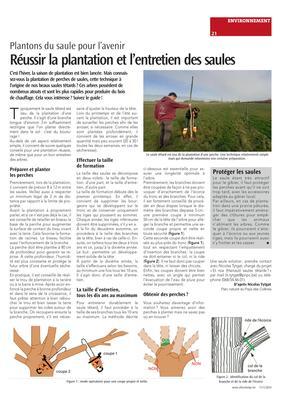 Protéger les saules Protéger les saules