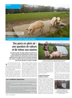 Des porcs en plein air : une question de valeurs et de retour aux sources Des porcs en plein air : une question de valeurs et de retour aux sources