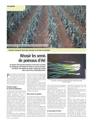 Réussir les semis de poireaux d’été Réussir les semis de poireaux d’été