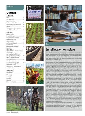 Simplification complexe Simplification complexe