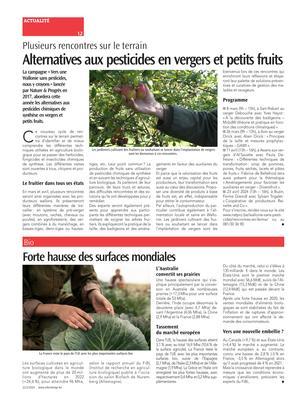 Forte hausse des surfaces mondiales Forte hausse des surfaces mondiales