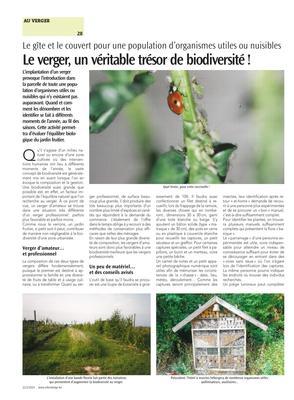 Le verger, un véritable trésor de biodiversité! Le verger, un véritable trésor de biodiversité!