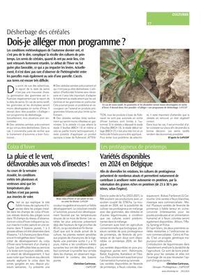 La pluie et le vent, défavorables aux vols d’insectes! La pluie et le vent, défavorables aux vols d’insectes!