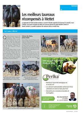 Les meilleurs taureauxrécompensés à Mettet Les meilleurs taureauxrécompensés à Mettet