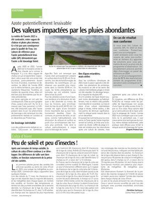 Peu de soleil et peu d’insectes! Peu de soleil et peu d’insectes!