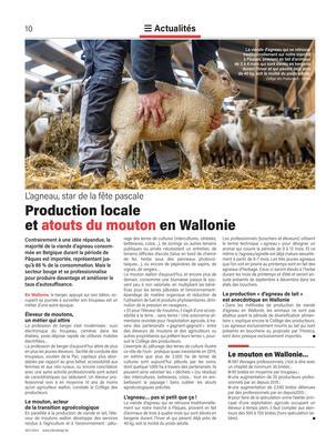 Production localeet atouts du mouton en Wallonie Production localeet atouts du mouton en Wallonie