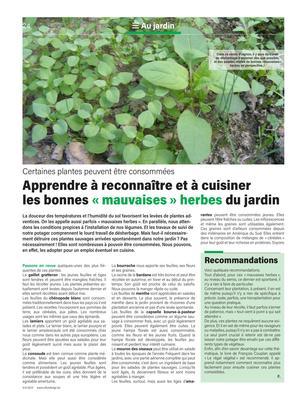 Apprendre à reconnaître et à cuisinerles bonnes «mauvaises» herbes du jardin Apprendre à reconnaître et à cuisinerles bonnes «mauvaises» herbes du jardin