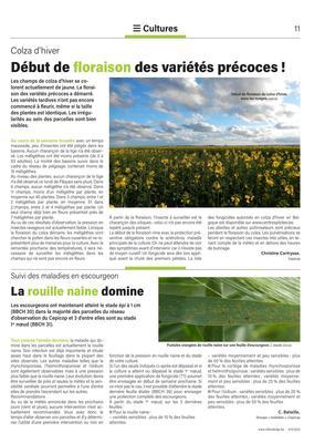 Début de floraison des variétés précoces! Début de floraison des variétés précoces!