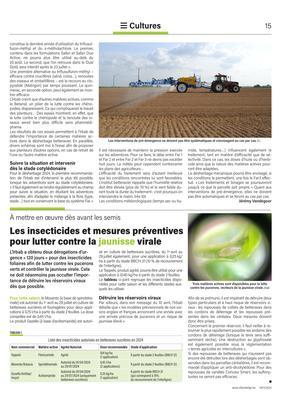 Les insecticides et mesures préventivespour lutter contre la jaunisse virale Les insecticides et mesures préventivespour lutter contre la jaunisse virale